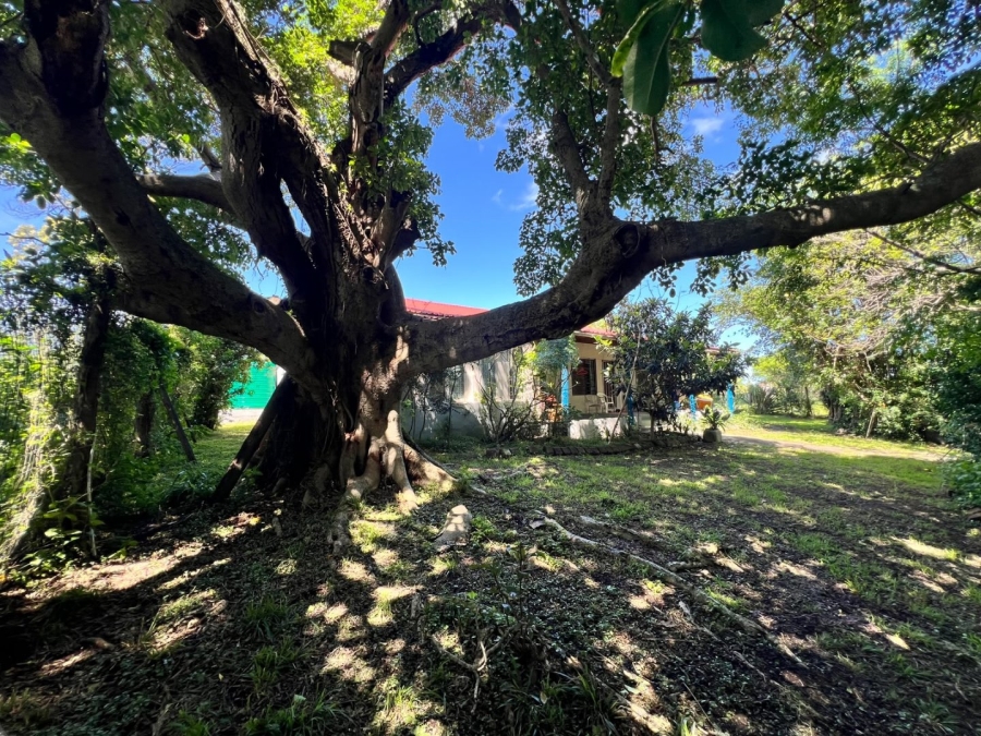 Commercial Property for Sale in Eureka Eastern Cape